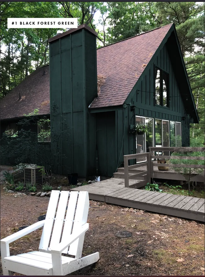 Deep Forest Green Drama