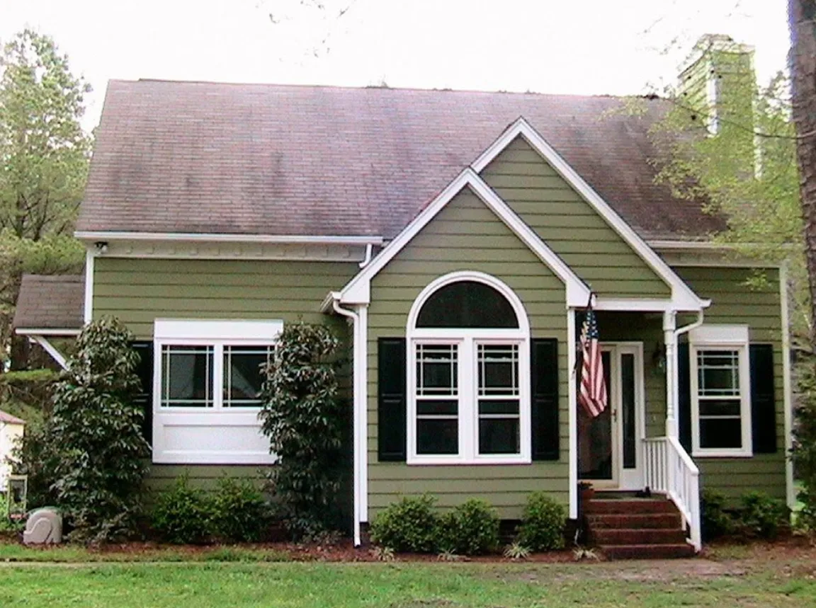Olive Green with Rustic Vibes