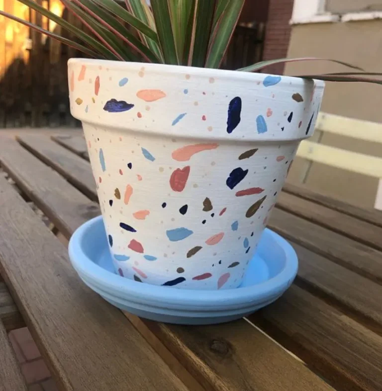 Hand-Painted Terra Cotta Planter Ideas That Bring Personality to Your Space